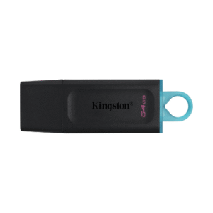 KINGSTON DTX/64