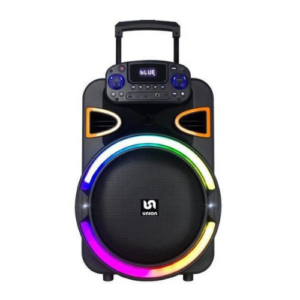 UNION PARTY BOX PS100T 100W 15'' (UN-PS100Y-15)